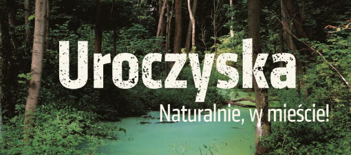 Przewodnik po dzikich zakątkach Lublina. Nowa mapa uroczysk zachęca do miejskich spacerów